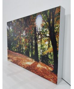 Alternative view of Fabric Light Box